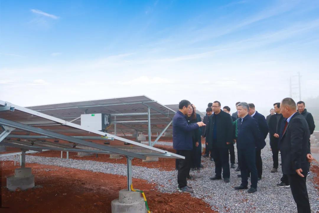 湖北DB视讯绿色能源有限公司